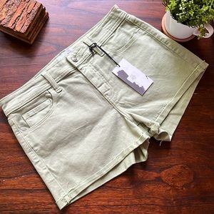 Studio Blue - Sage Green Colored Denim Shorts - Size: 29